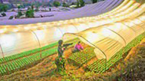 ตามรอยพระบาท