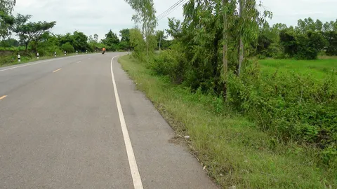 ไร้เงาน้องหมา! ที่นั่งรอเจ้าของ หายจากรันเวย์สนามบิน ไม่รู้ชะตากรรม