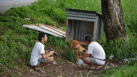 'ไอ้หลง' ได้ที่พักรอนาย ปศุสัตว์ฯวอนหยุดถ่ายภาพ หวั่นตื่นกลัว