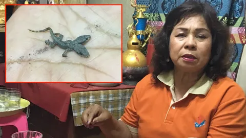 สาวนั่งสมาธิ จิ้งจกประหลาดตกตรงหน้า มี 2 หัว 4 ตา 4 ขา ใครขอซื้อไม่ขาย