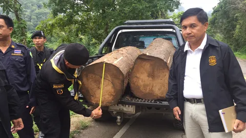 รวบผู้ลี้ภัยออกจากศูนย์อพยพ รับจ้างตัดไม้สักในป่าขะเนจื้อ