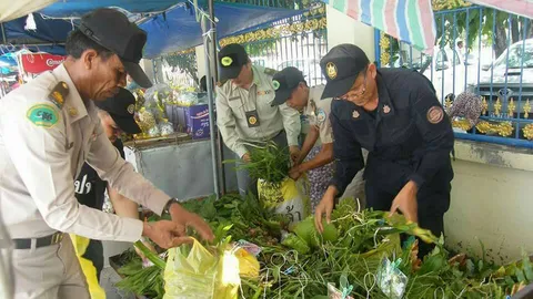 ไซเตสมุกดาหาร บุกตลาดอินโดจีน ยึดกล้วยไม้ป่ากว่า 17 สายพันธุ์