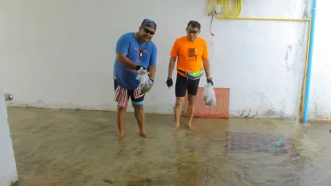 คนตะกั่วป่าสุดทน นำหอย-ปลา ปล่อยอุโมงค์ทางลอดถนน หลังน้ำขังกว่า 10 ซม.