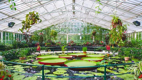 Get Inside the Greenhouse รู้เรื่องเรือนกระจก