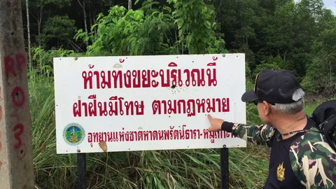 จนท.อุทยานพีพี เร่งรื้อขยะร้อยตัน ฟื้นป่าชายเลน หลังมือดียิงป้ายทิ้ง