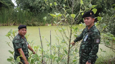 สุดยอดสวนเกษตรผสมผสาน ปลูก ‘ท่อม’ แซมมะนาว ทั้งเก็บใบ-ตอนกิ่งขาย