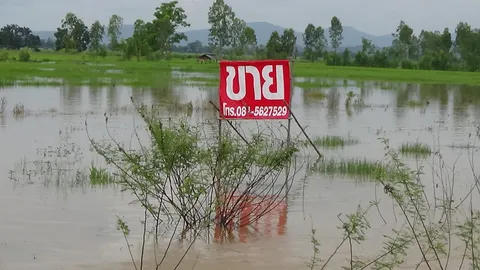 น้ำกว๊านพะเยา ไหลท่วมนาข้าว เจ้าของสุดทน ประกาศขายที่ประชด 