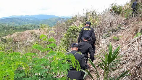 ทวงคืนป่าท่าแซะ ปะทิวเกือบ 7 พันไร่