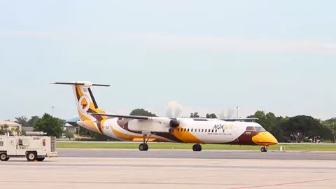 Nok Air รุกบริการส่งสัตว์เลี้ยง หวนเปิด 'นกแอร์คาร์โก้' เริ่ม 1 ต.ค.59