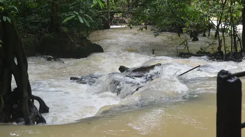 ฝนถล่มกระบี่ต่อเนื่อง-อุทยานฯธารโบกขรณี ปิดป้ายห้ามนทท. เข้าวันที่ 2