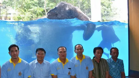 ระดับโลก