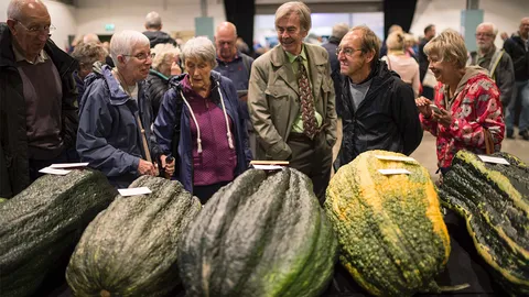 โลกาภิวัตน์ 26/09/59