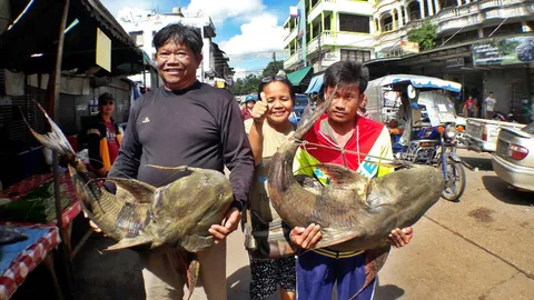 ชาวบ้านริมโขง เฮง! จับปลาแค้ยักษ์ หนักร่วม 40 กิโล ฟันเงินนับหมื่น