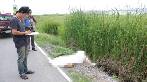 ฆ่ารัดคอสาวผมแดง นำศพทิ้งข้างทางย่านบางปะกง