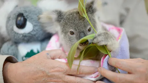 โลกาภิวัตน์ 27/09/59