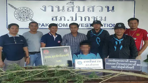 หนุ่มเมากัญชา โพสต์โชว์เฟซบุ๊ก ตร.ตามรวบถึงบ้าน!