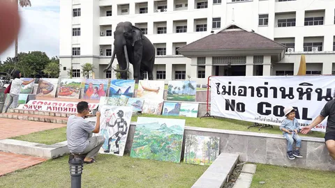 จัดแสดงภาพคัดค้านตั้งโรงไฟฟ้าถ่านหิน