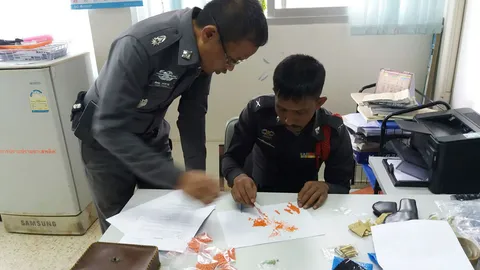 หนุ่มใหญ่ ขับรถชนต้นไม้ ผงะภายในเจอยาบ้ากว่า 1.3 พันเม็ด พบมีอาวุธ