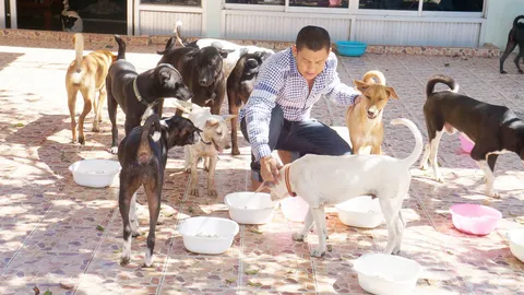 ดีเจใจบุญ! หุงข้าวเลี้ยงหมาข้างถนนนับร้อย พร้อมดูแลหากพิการ-ป่วย