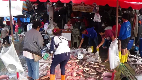 ทำวิกฤติเป็นโอกาส อ่างทอง แห่จับปลาขาย หลังน้ำเริ่มลดต่อเนื่อง 