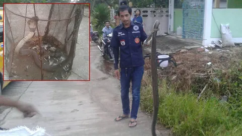 หนุ่มเมืองคอน วางลอบดักปลา ดันได้งูเห่ายาว 3ม.ร้องกู้ภัยช่วยจับ