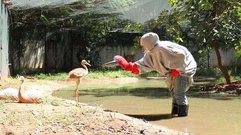 ศิษย์เก่าเกษตร ม.อุบลฯ เจ๋ง ขยายพันธุ์นกกระเรียนไทย ปล่อยคืนธรรมชาติ