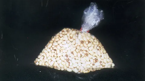 “ถั่วขาวจีน” ล้างพิษ ในตับ