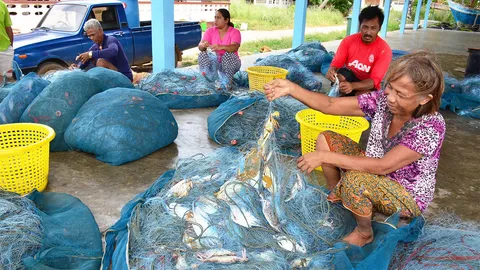 จับปูม้า ได้วันละหมื่น! ชาวเลเรือเล็ก ขอบคุณ ‘ลุงตู่’ จัดระเบียบประมง