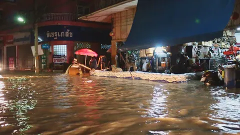 ลาดยาว ยังไม่พ้นวิกฤติ น้ำแม่วงก์ไหลท่วมพื้นที่เศรษฐกิจ สูงกว่า 60 ซม.