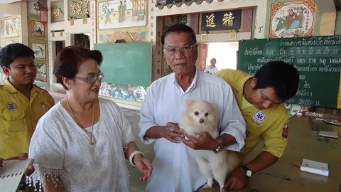 ตามหาเจ้าของ น้องหมาปอมปอม หลุดออกมาเดินบนถนนที่ชลบุรี 