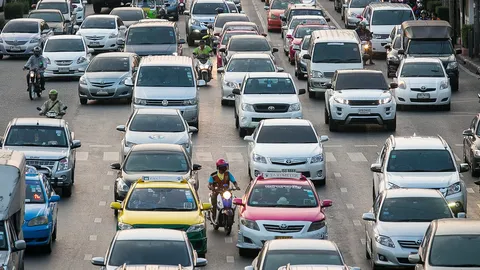 ปาดเกาะสวนพรรณภิรมย์