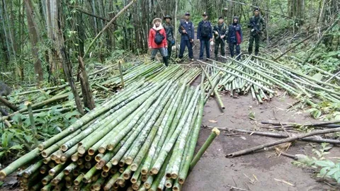 ก่อนเป็นข้าวหลาม คือลำไม้ไผ่! ใครตัดกองไว้ นอภ.พบพระอยากเจอ