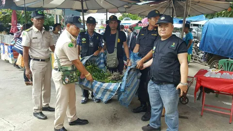 ไซเตสมุกดาหาร สนธิกำลังบุกยึดกล้วยไม้ป่า ตลาดอินโดจีน ผู้ค้าหนีรอด 