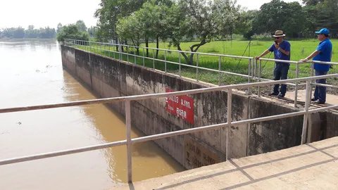 ระดับน้ำชี เพิ่มสูงขึ้น เตือนที่ลุ่ม 3 จว. พร้อมรับมือ 24 ชั่วโมง