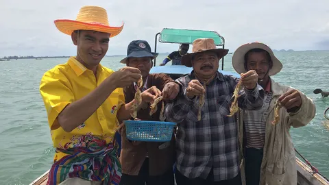 กุ้งหัวเรียว พารวย! เข้าปากแม่น้ำกระบี่ เรือนับร้อยแห่ทอดแหจับขาย  