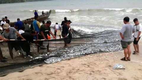 โซเชียลฮือฮา! ชาวประมงจับปลา 2 ตันริมหาดป่าตอง คนพื้นที่ยันเรื่องปกติ
