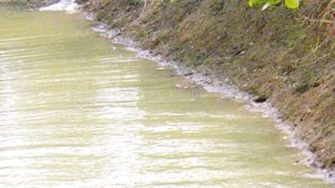 หนุ่มใหญ่เมืองร้อยเอ็ด เดินลงห้วยตัดสายบัวไปทำกับข้าว พลาดจมน้ำดับ