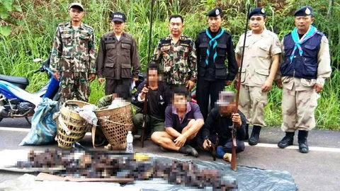 จับ 4 พรานป่า แบกปืนเข้าเขตห้ามล่าฯภูฟ้า ยิงเก้ง-หมูหริ่ง ยึดซากเพียบ