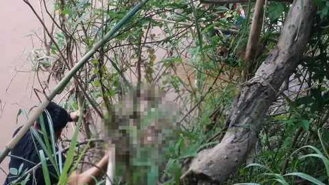 ศพเน่าเปื่อย ถูกมัดติดเสาปูน ยังไม่รู้เป็นใครลอยติดฝั่งน้ำโขงมุกดาหาร 