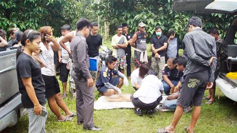 สลด สองพี่น้องจูงมือตามหาแม่ พลัดตกร่องสวน ด.ช.คนพี่ 5 ขวบจมน้ำดับ