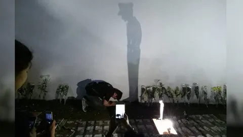 เปิดใจ 'เจ้าของไอเดีย' ภาพถ่ายก้มกราบพระบาท แสงเงา 'ในหลวง ร.9'