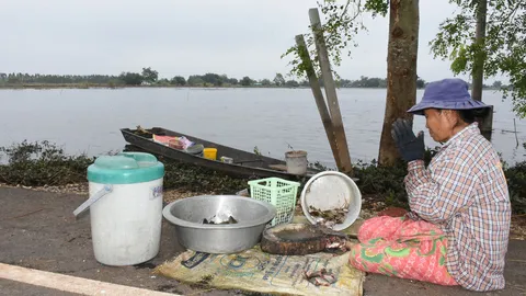 บางระกำน้ำลดช้า! ชาวบ้าน เผย ไม่ทุกข์เท่าทราบข่าว 'ในหลวง ร.9' สวรรคต 