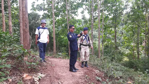 คืบไม้สัก 100 ท่อนหายในสวนป่าห้วยศอก จนท.ป่าไม้ยัน ตรวจยึดแค่ 20 ท่อน