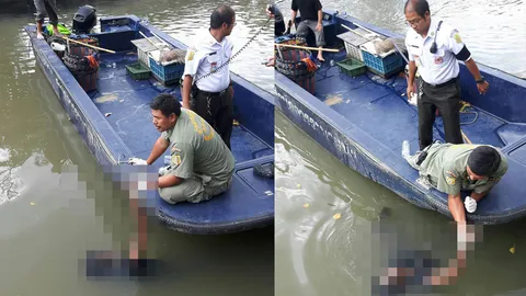 ชายเร่ร่อนพลัดตกคลองหลอดดับ ตร.คาดเมาสุรา เร่งเช็กวงจรปิดหาสาเหตุ