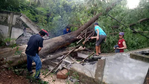พายุฝนถล่มเพชรบูรณ์ ต้นไม้ล้มทับกุฏิวัดเสียหาย ลูกเห็บขาวโพลน