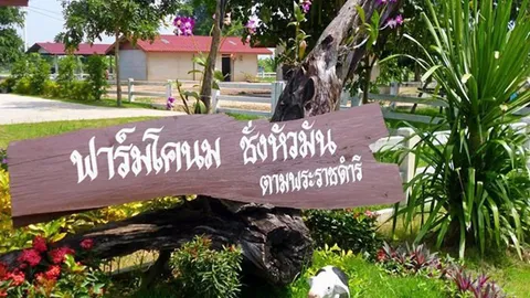 เส้นทางตามรอยพระบาท“ในหลวงร.9” จากหัวมันเทศ สู่โครงการชั่งหัวมัน