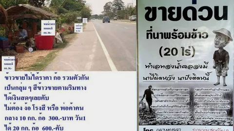 โซเชียลเสนอไอเดียขายข้าว ชาวนารุ่นสุดท้ายสะอื้นแต่งกลอน-ขายที่ 20 ไร่