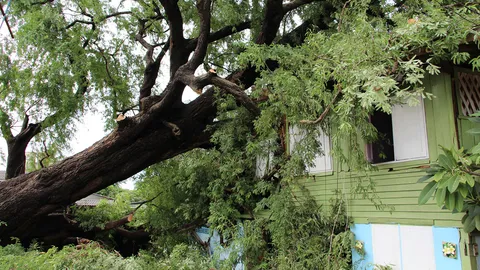 พายุซัดราชบุรี-สุพรรณฯ ต้นมะขามยักษ์ล้มทับบ้าน สาวใหญ่วิ่งหนีตาย