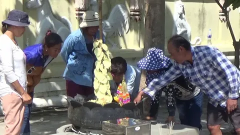 เฟื่องฟ้าในวัด อยากเป็นต้นโพธิ์ ออกใบรูปหัวใจสีขาว ชาวบ้านแห่ไหว้ขอโชค