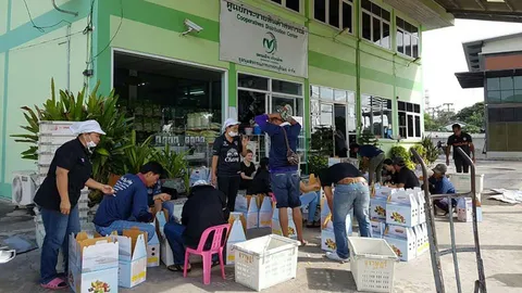 วินวิน ขนลองกองจากสุราษฎร์ฯ แลกข้าวหอมมะลิอีสาน หลังราคาร่วงทั้งคู่ 